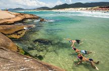 Discover Florianópolis: Full Day City Tour and Local Highlights
