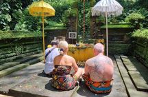 Bali Customizable Multi Language Tour with Driver-Guide