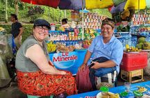 Bali Customizable Multi Language Tour with Driver-Guide