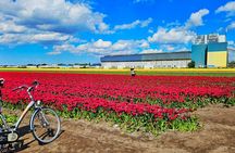 Keukenhof Gardens and Delft Guided Tour from Amsterdam