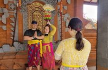 Bali Customizable Multi Language Tour with Driver-Guide