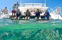Discover Underwater Beauty: Explore Maracajaú's Parrachos Reef