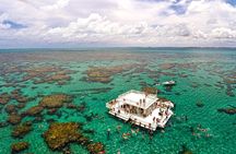 Discover Underwater Beauty: Explore Maracajaú's Parrachos Reef