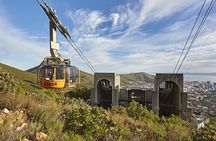  Exploration of Wonders Cape Town Nature City and Wine in 3 Days