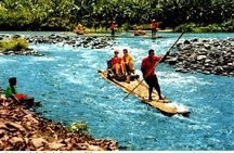 Private Tour from Ocho Rios to Portland Rio Grande Rafting