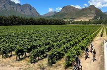 Franschhoek E-bike Ride & Wine w.Lunch