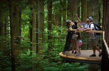 Port of Tauranga, Te Puia/Redwoods TreeWalk Glowworms/Hells Gate 