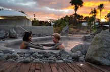 Port of Tauranga, Te Puia/Redwoods TreeWalk Glowworms/Hells Gate 