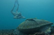 CocoTipAdventures and Snorkel with Meals-BBQs-Cocktail-Sunset