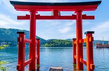 Mt. Fuji Hakone Shrine, Owakudani English Bus Tour or Small Group