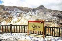 Mt. Fuji Hakone Shrine, Owakudani English Bus Tour or Small Group