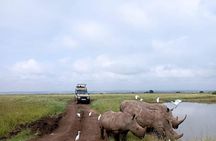 National Park Half-Day Group Tour in Nairobi with Pickup