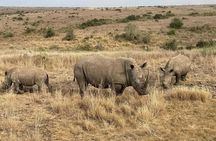 National Park Half-Day Group Tour in Nairobi with Pickup
