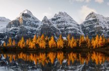 Lake Louise, Emerald Lake and Johnston Canyon Tour