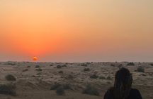 Dubai Red Dunes Safari, Camels, Live BBQ and Live Shows 