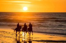 Dakhla Horse Ride Experience 
