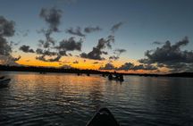 Laguna Grande Night Kayaking Bio Bay