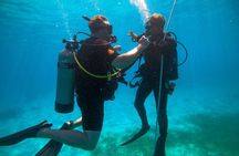 Scuba Diving for Non-Certified in Vieques Island 