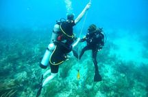 Scuba Diving for Non-Certified in Vieques Island 