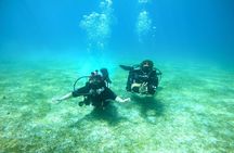 Scuba Diving for Non-Certified in Vieques Island 