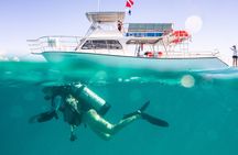 Scuba Diving for Non-Certified in Vieques Island 