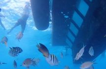 San Andreas Private Underwater Tour with Glass Bottom