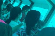 San Andreas Private Underwater Tour with Glass Bottom