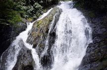 Party Safari Tractor Tour with Visit the waterfall
