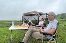 Mountain Safari, Camels, waterfalls & lunch (Group Tour)