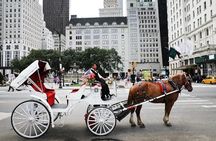 Central Park Horse Carriage Ride