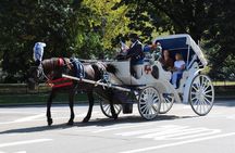 Central Park Horse Carriage Ride