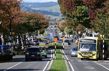 Middle Earth Private Tour from Tauranga Cruise Port. Tickets incl