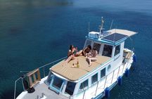 Cruise around Mykonos-unlimited drinks-small group (new product)