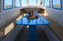 Cruise around Mykonos-unlimited drinks-small group (new product)
