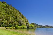 Cultural Rotorua Private Tour Tauranga Port. Whakarewarewa Ticket