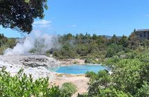 Cultural Rotorua Private Tour Tauranga Port. Whakarewarewa Ticket