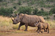 Gambia to Senegal Tour with Ferry Crossing and Safari Park