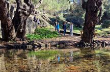 Troodos Mountains a Tour of Adventures