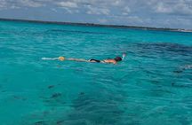 Mnemba Snorkelling and Dolphin Tour in Nungwi