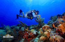 Tulum Diving (Reef) 2 Tanks
