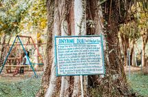 Explore Aburi Botanical Gardens And Boti Falls