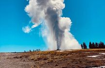Private Lower Loop Tour of Yellowstone National Park 