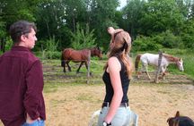 Day Trip from Paris - French Food, Rural Experiences & Horses! 