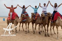 Tangier Morocco Fare Day Trip All Inclusive