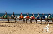Private Day Trip from Seville to Tangier All Inclusive