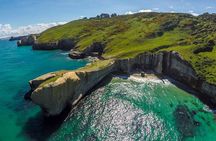 Catlins Cruiser Private Tour from Dunedin Cruise Port