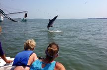 Private Dolphin and Nature Tour of Hilton Head