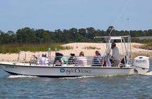 Private Dolphin and Nature Tour of Hilton Head