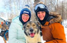 Adventure Awaits Dog Sledding on Stunning Alaskan Trails