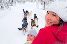 Adventure Awaits Dog Sledding on Stunning Alaskan Trails